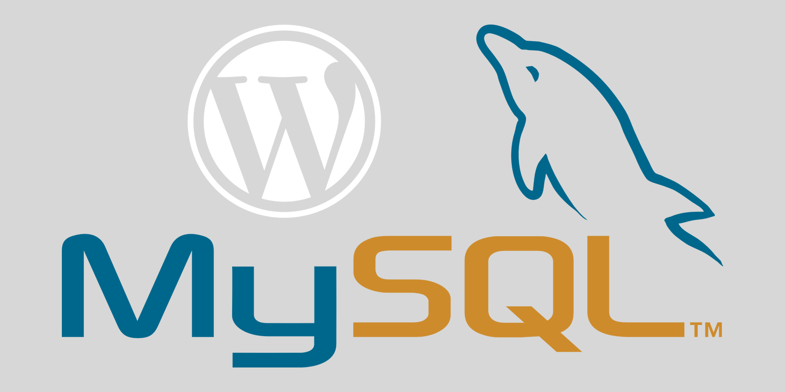 MySQL and WordPress